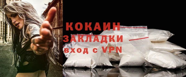 дмт Ельня