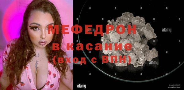 дмт Ельня