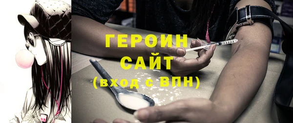 дмт Ельня