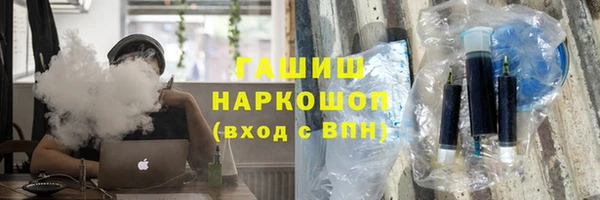 дмт Ельня
