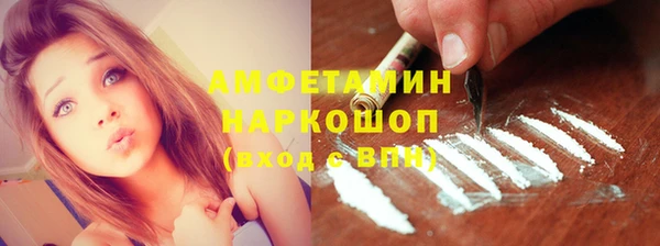 дмт Ельня