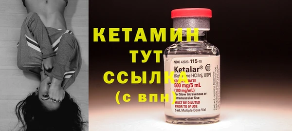 дмт Ельня