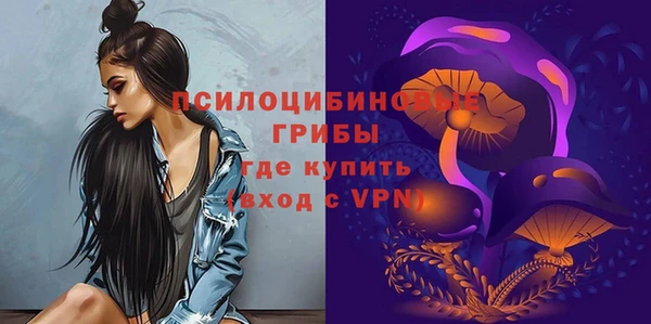 дмт Ельня