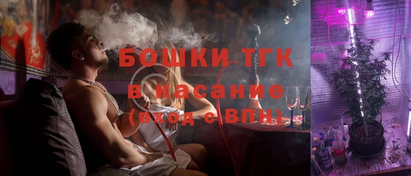 дмт Ельня