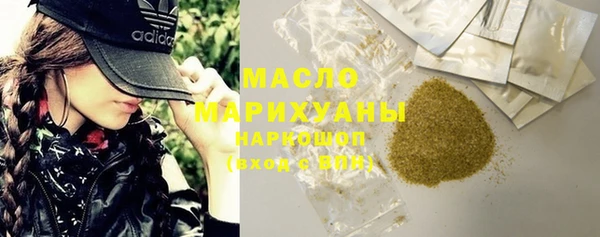дмт Ельня