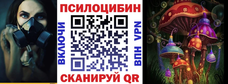 Псилоцибиновые грибы прущие грибы  OMG ONION  Звенигород 